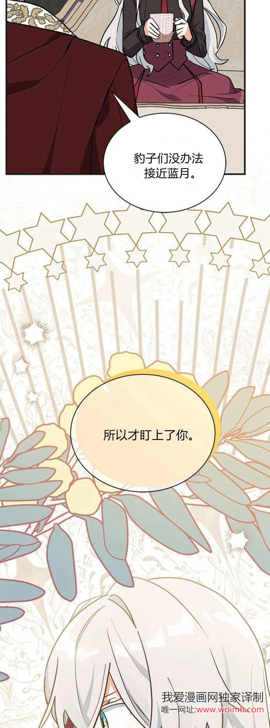 第41话-明明是猫，却被狼族收养了？-노찬주（第24张）