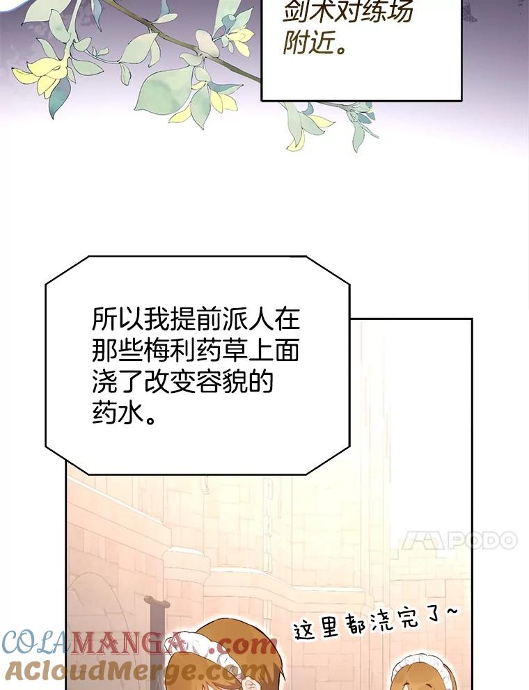 96.jpg