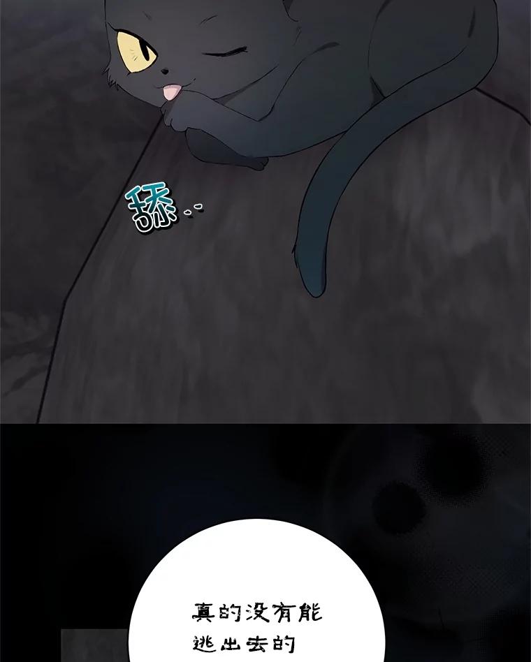51.jpg