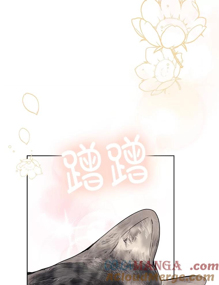 121.jpg
