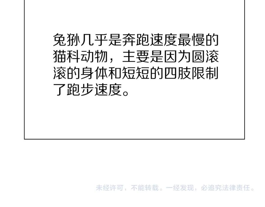 99.jpg
