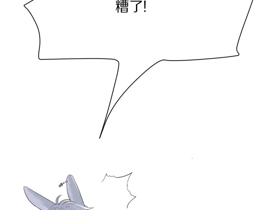 74.jpg