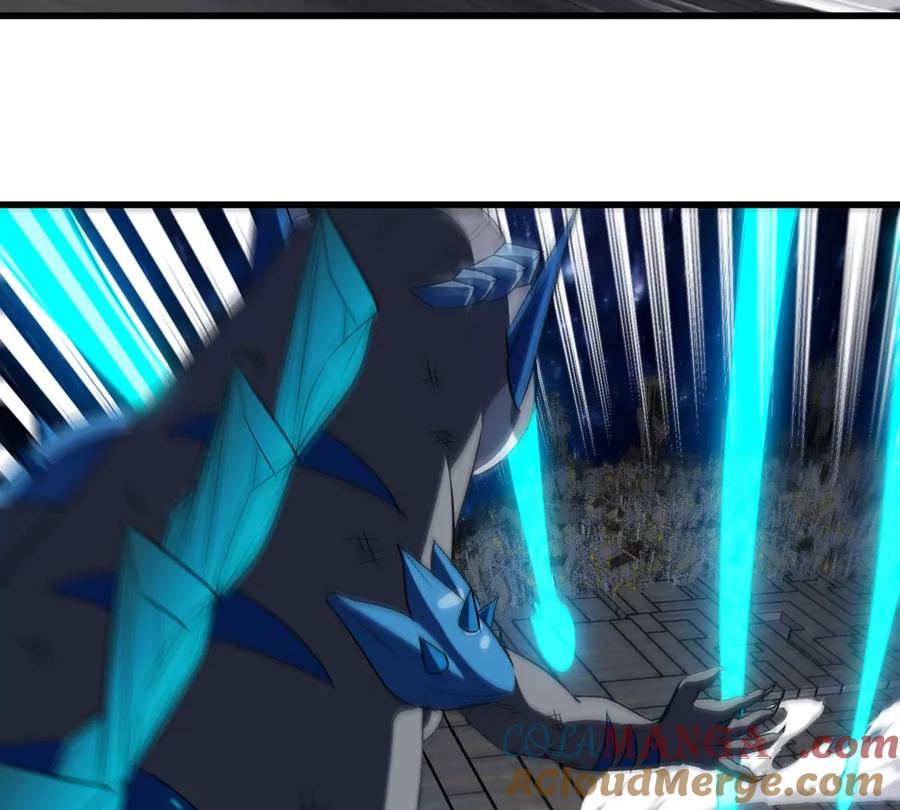 43.jpg