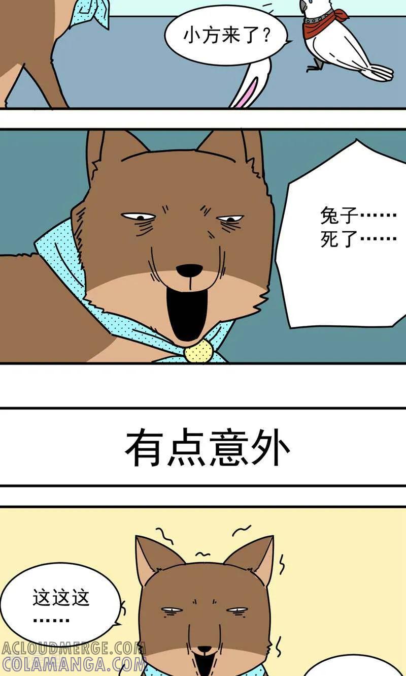 第5话-硬核动物园-咪咕数媒（第13张）