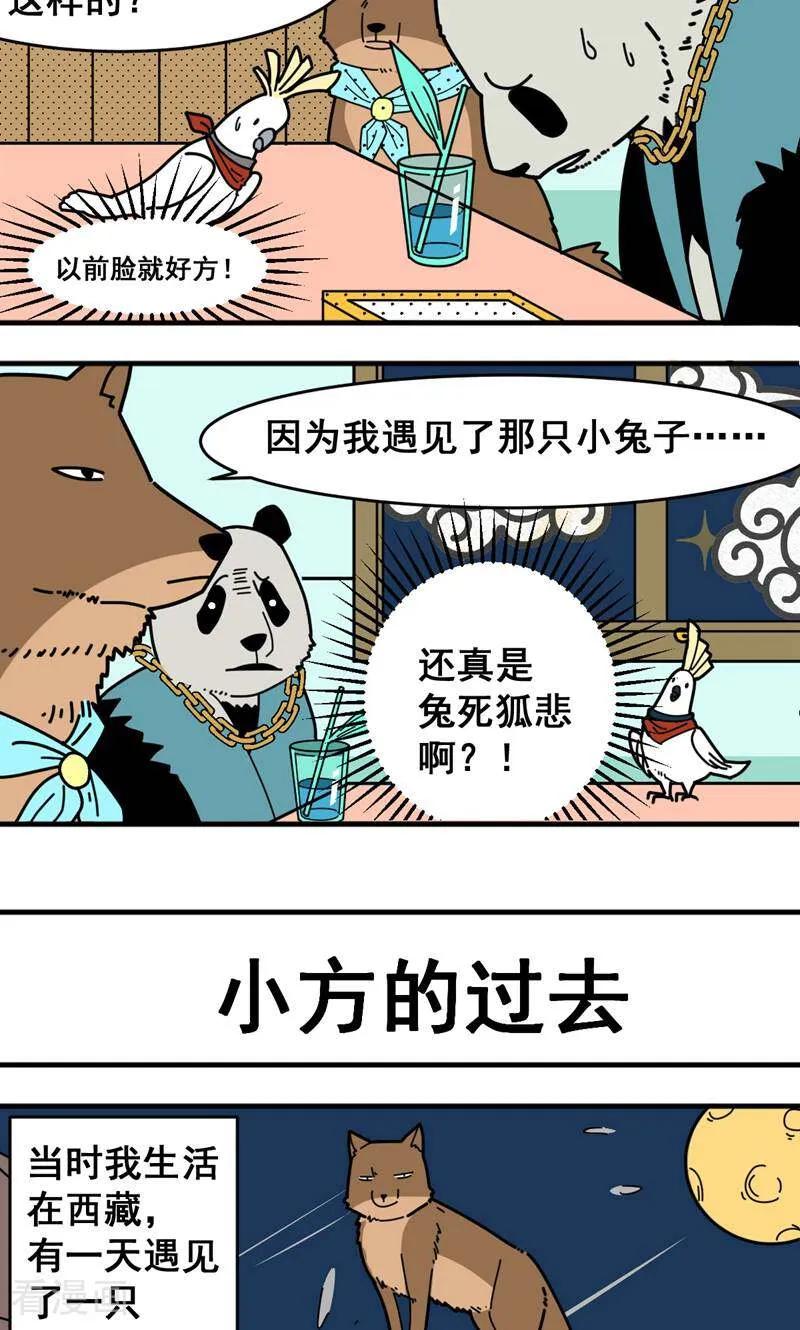 第5话-硬核动物园-咪咕数媒（第18张）