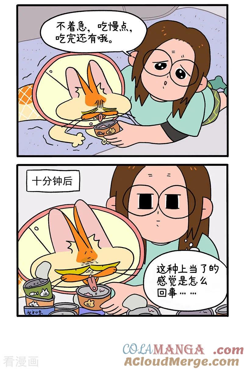 第23话1术后恢复-阿满和麦茶-新漫画 日胖大海寺（第2张）