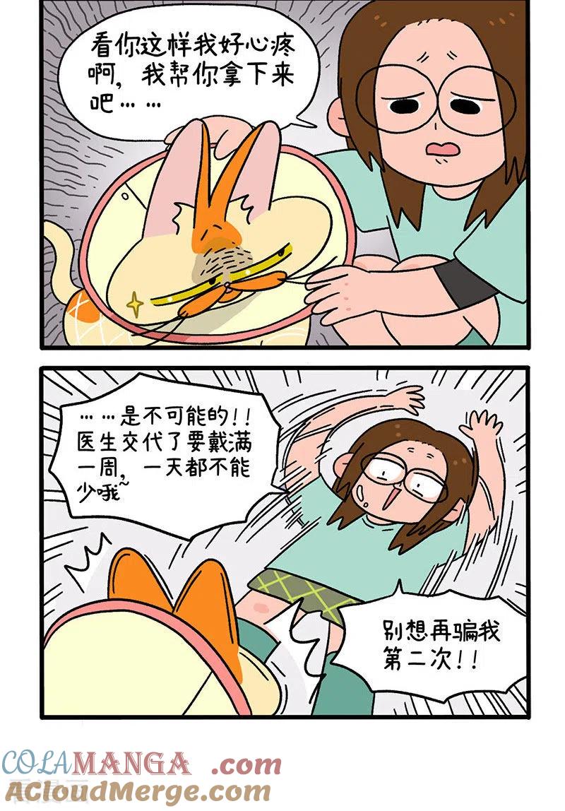 第23话1术后恢复-阿满和麦茶-新漫画 日胖大海寺（第4张）