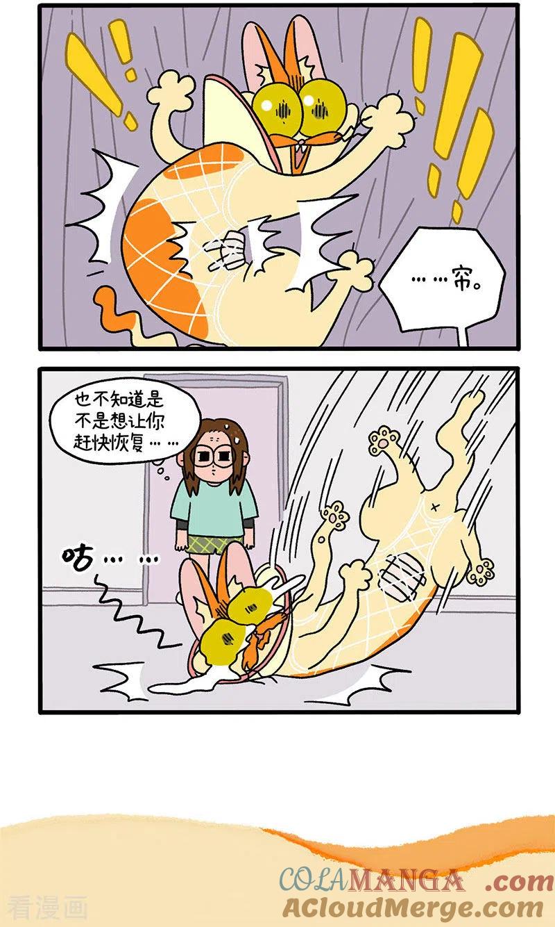 第23话1术后恢复-阿满和麦茶-新漫画 日胖大海寺（第6张）