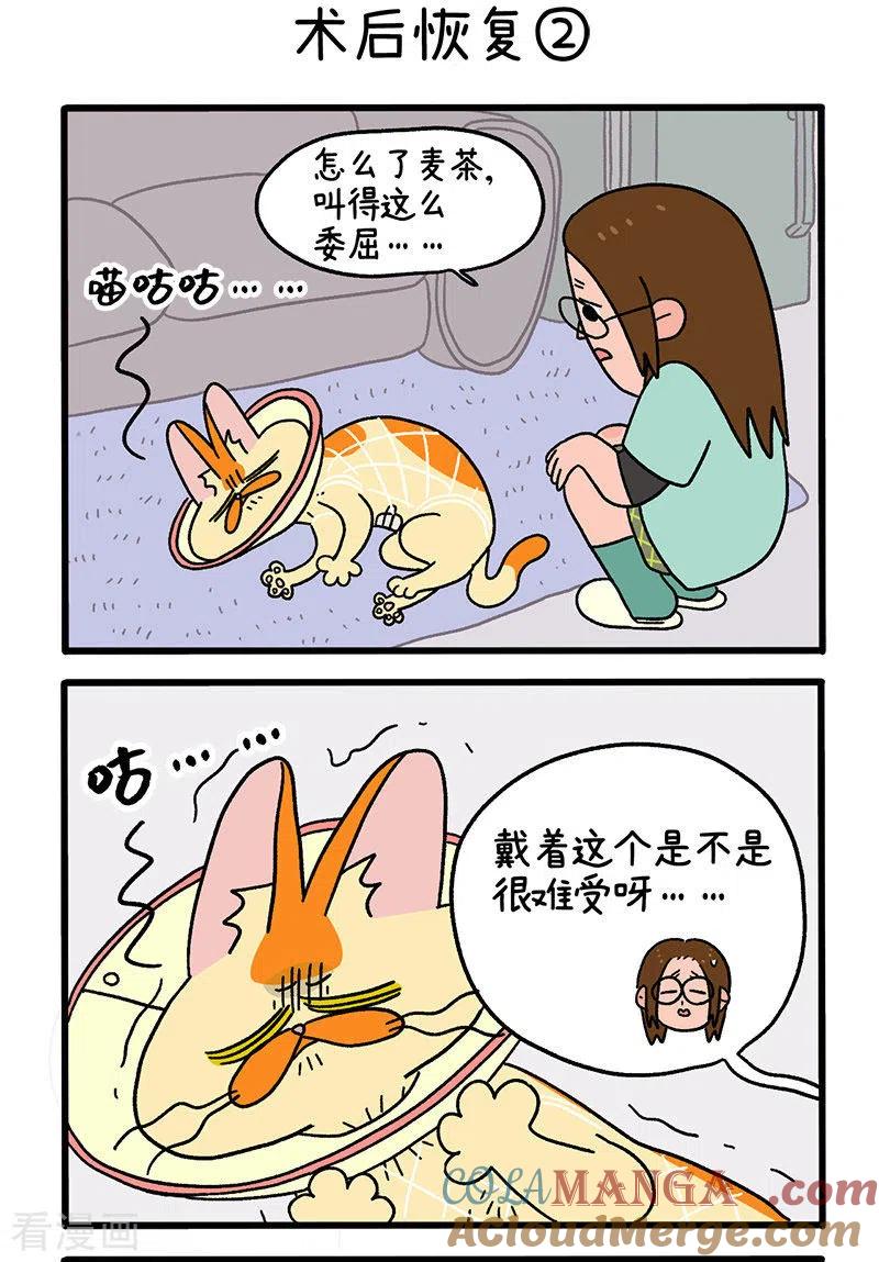 第23话1术后恢复-阿满和麦茶-新漫画 日胖大海寺（第3张）