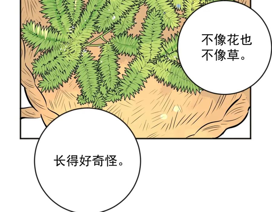 第146话赌王之子（二十二）-雪山·草地·传说少年登巴的故事-大行道动漫（第14张）