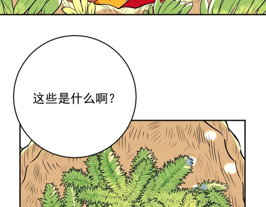 第146话赌王之子（二十二）-雪山·草地·传说少年登巴的故事-大行道动漫（第13张）