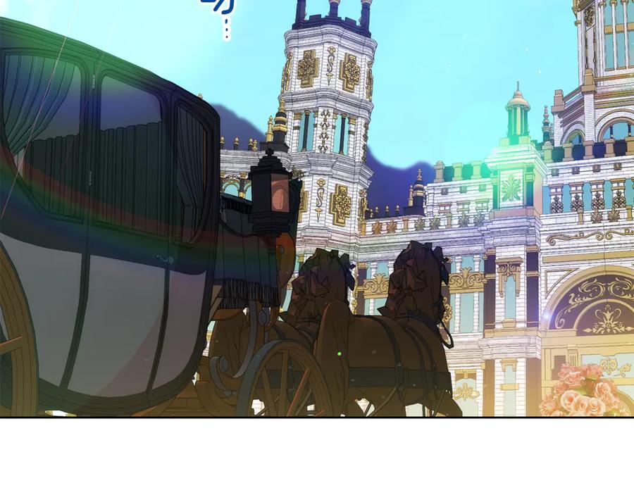 216.jpg