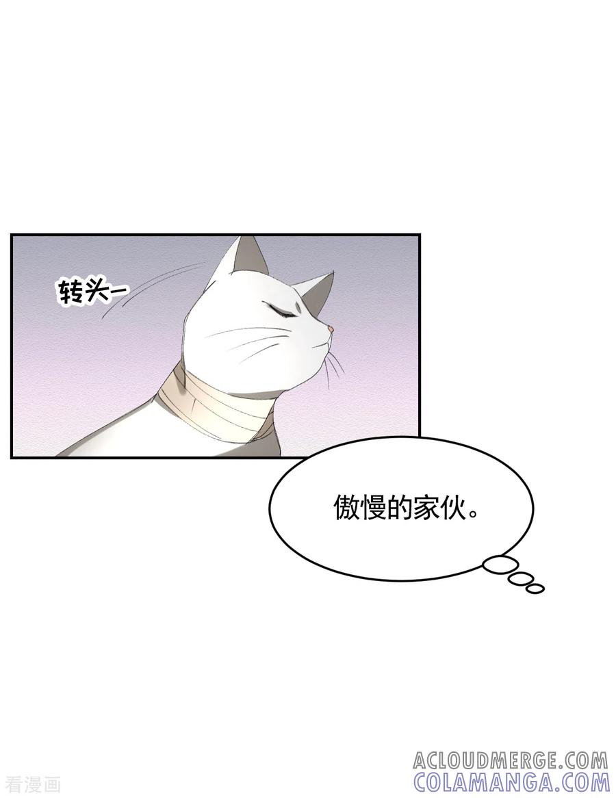 第16话寻找目击者-影子侦探-趣编文化（第34张）