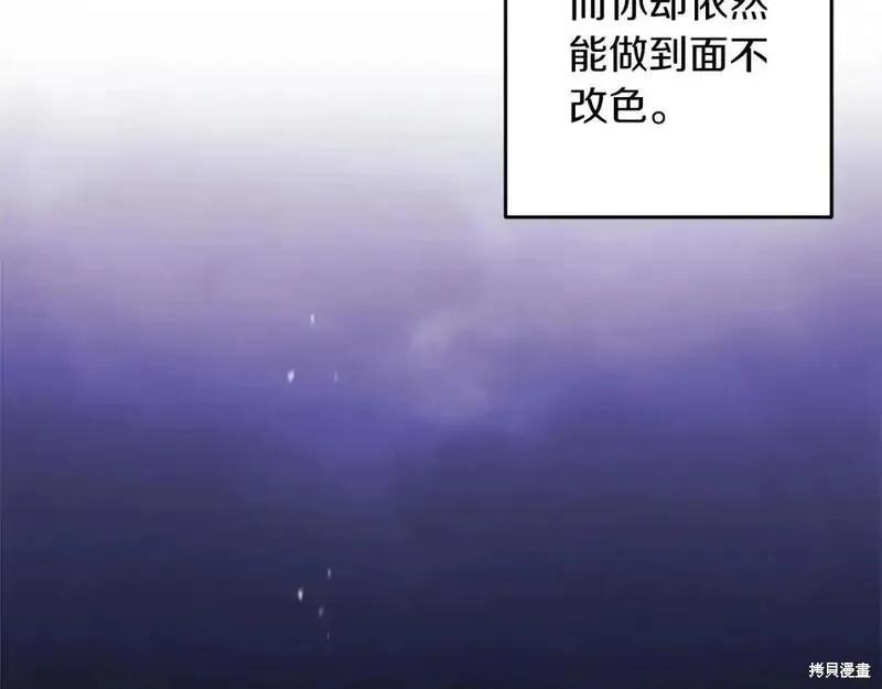 223.jpg
