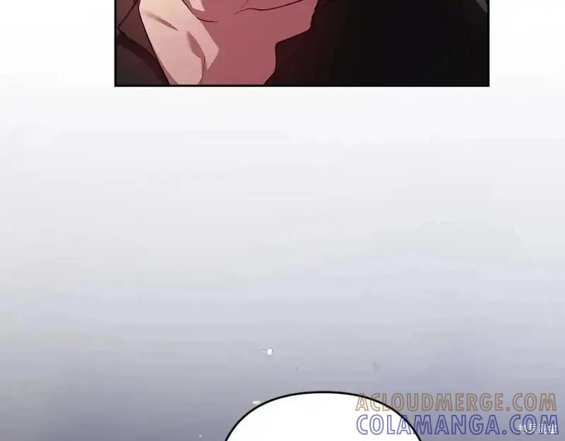161.jpg