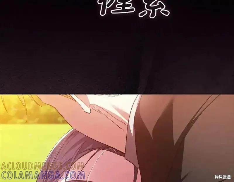 137.jpg