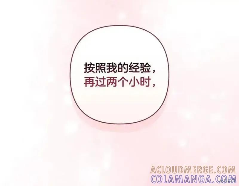 113.jpg