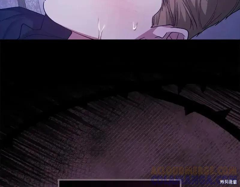 197.jpg