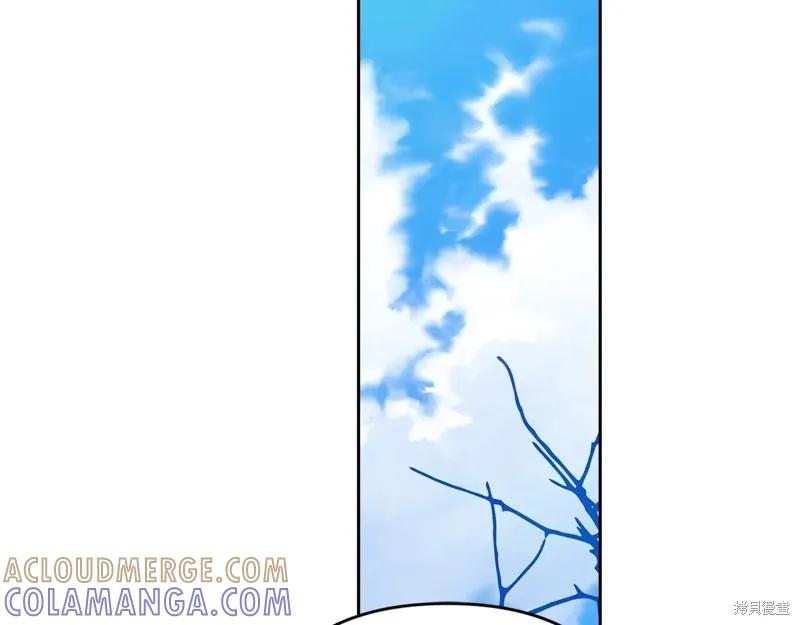 233.jpg