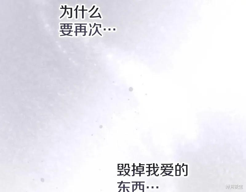 164.jpg