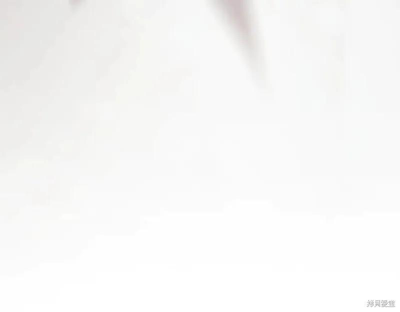 244.jpg