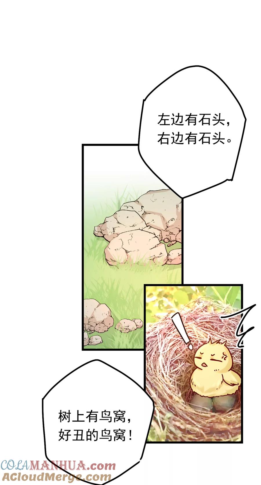 15.jpg