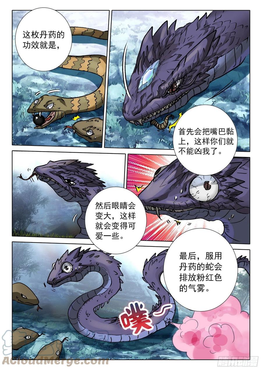 11.jpg
