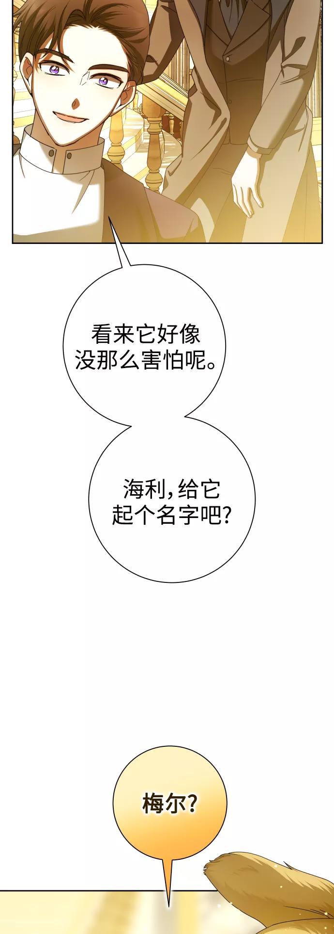 77.jpg
