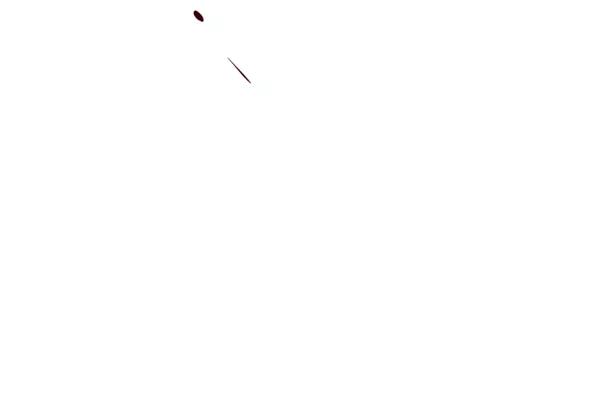 103.jpg