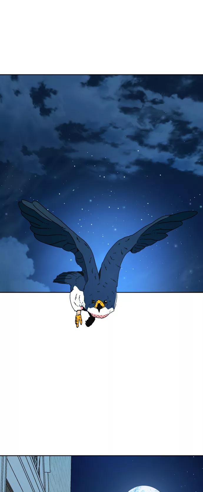 69.jpg