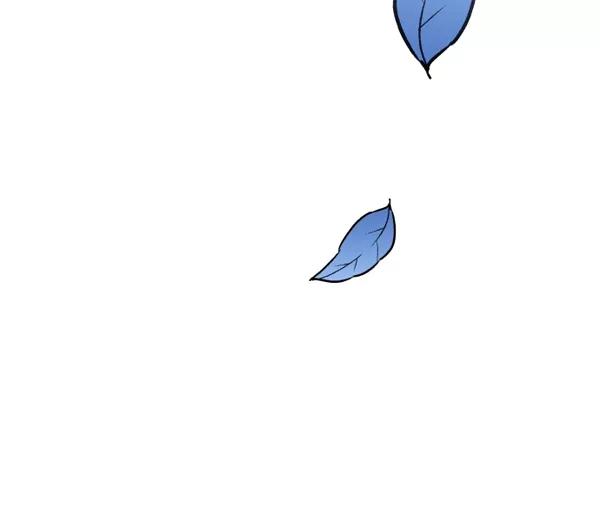 127.jpg