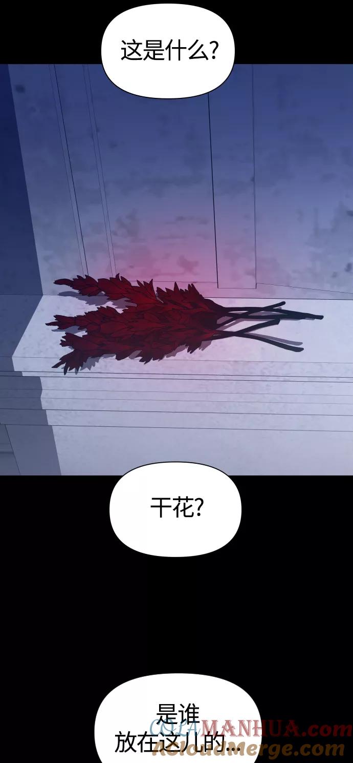 79.jpg