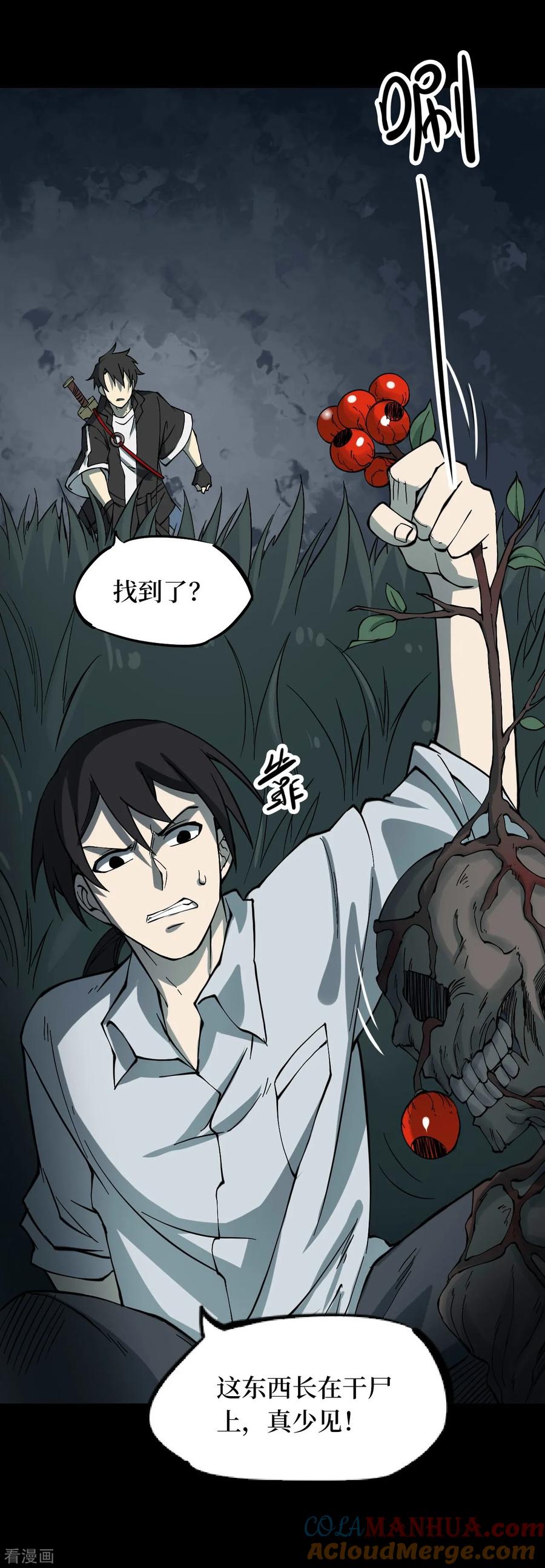 第54话洪羊刀4-阴间商人-云南白饭（第13张）