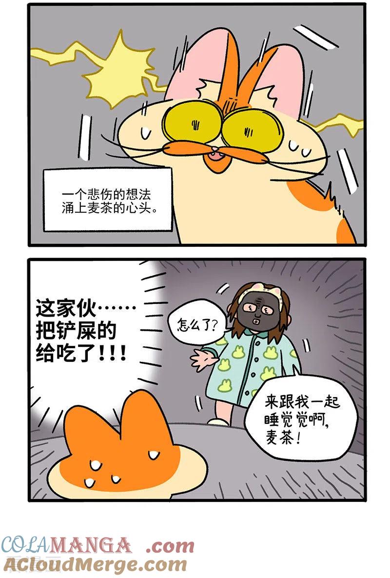 第52话面膜怪人-阿满和麦茶-新漫画 日胖大海寺（第4张）