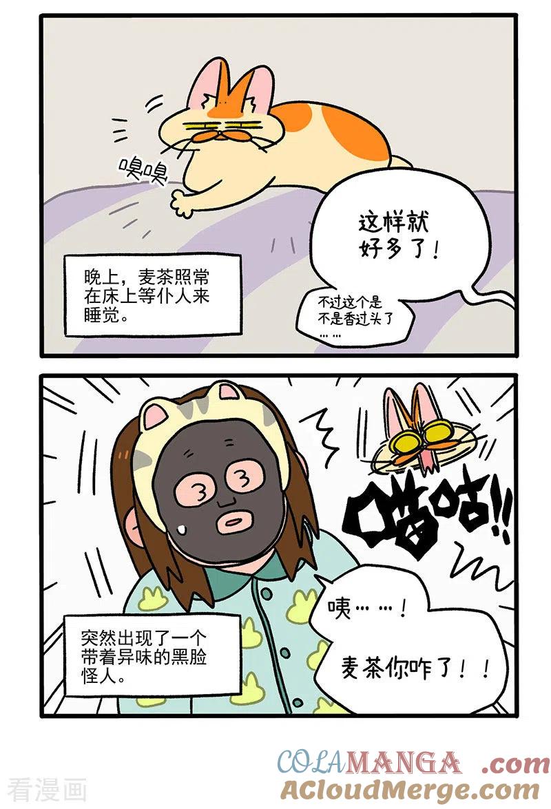 第52话面膜怪人-阿满和麦茶-新漫画 日胖大海寺（第2张）