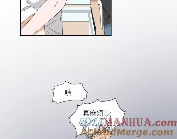58.jpg