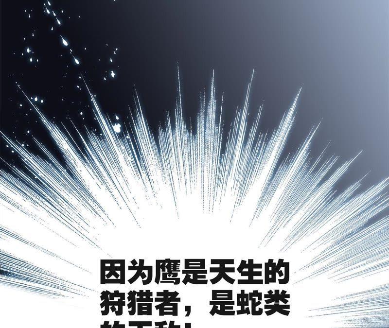 第10话天敌-隐世华族-米沙/翻翻动漫（第10张）