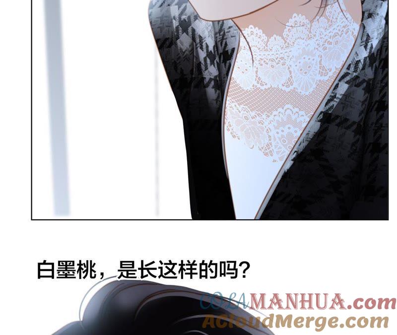 第35话出发-隐世华族-米沙/翻翻动漫（第19张）
