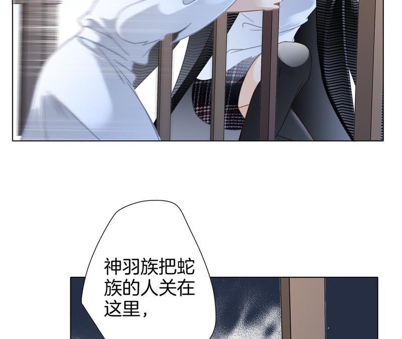 第42话金翅鸟-隐世华族-米沙/翻翻动漫（第14张）