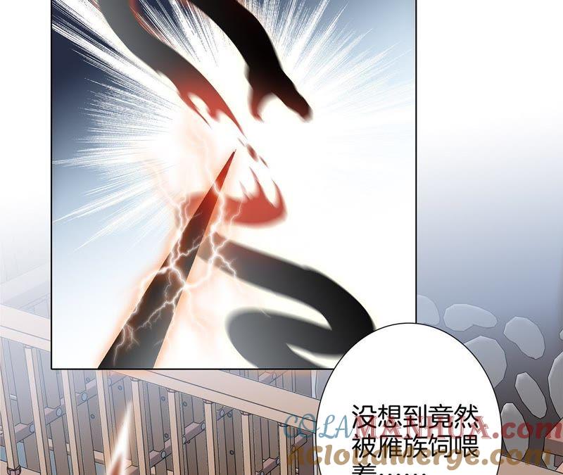 第42话金翅鸟-隐世华族-米沙/翻翻动漫（第37张）