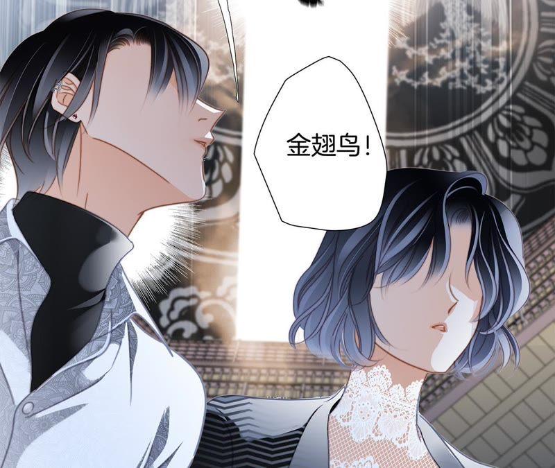 第42话金翅鸟-隐世华族-米沙/翻翻动漫（第17张）