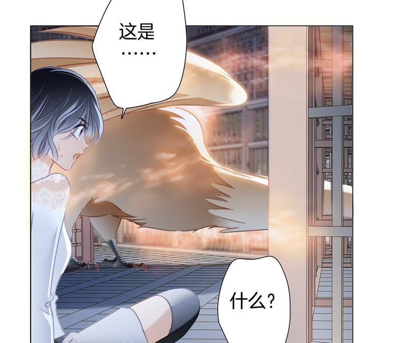 第42话金翅鸟-隐世华族-米沙/翻翻动漫（第32张）