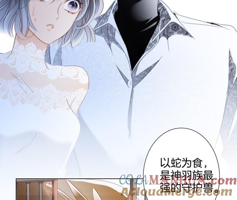 第42话金翅鸟-隐世华族-米沙/翻翻动漫（第34张）