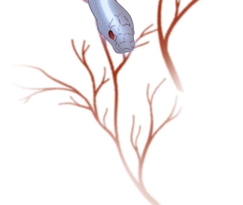 剧情梳理特别篇-隐世华族-米沙/翻翻动漫（第33张）