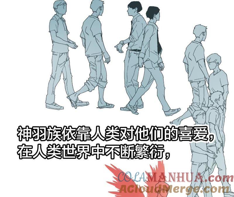 剧情梳理特别篇-隐世华族-米沙/翻翻动漫（第25张）