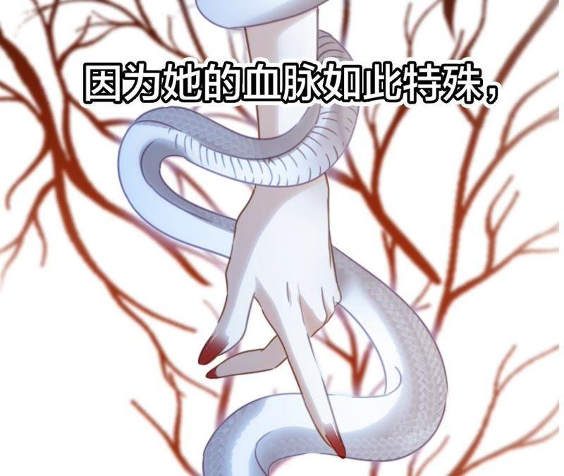 剧情梳理特别篇-隐世华族-米沙/翻翻动漫（第32张）
