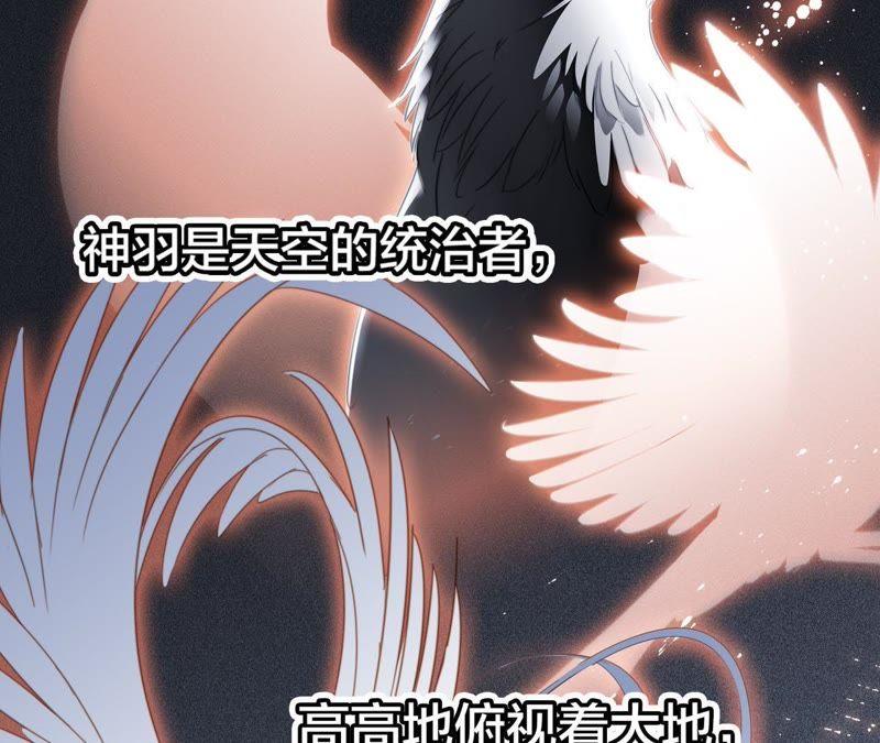 剧情梳理特别篇-隐世华族-米沙/翻翻动漫（第20张）