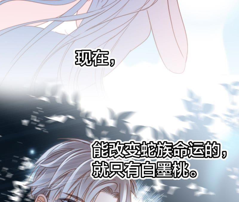 剧情梳理特别篇-隐世华族-米沙/翻翻动漫（第29张）