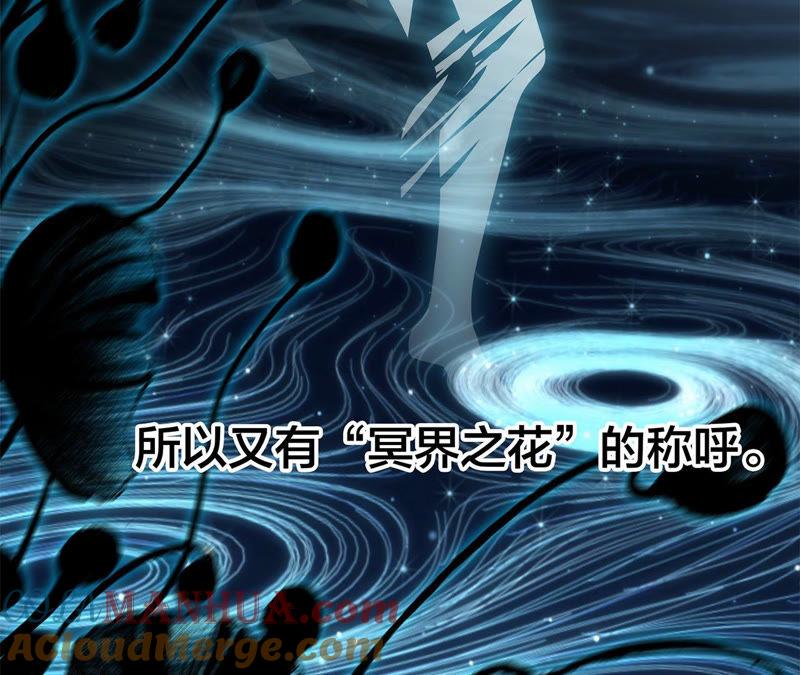 第62话冥界之花-隐世华族-米沙/翻翻动漫（第13张）