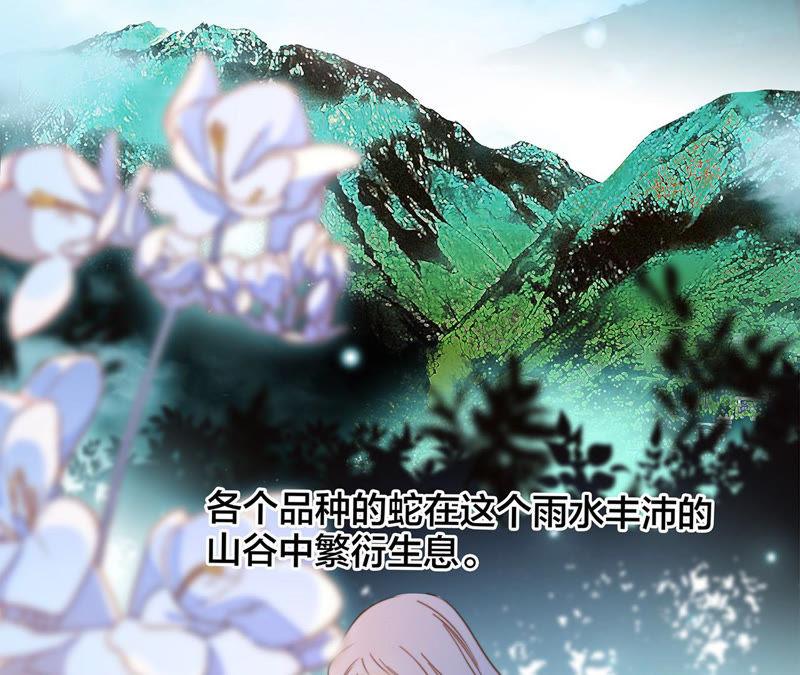 第62话冥界之花-隐世华族-米沙/翻翻动漫（第2张）